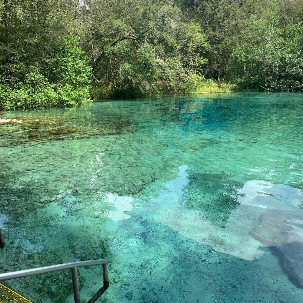 Meet your Posher, Lylli